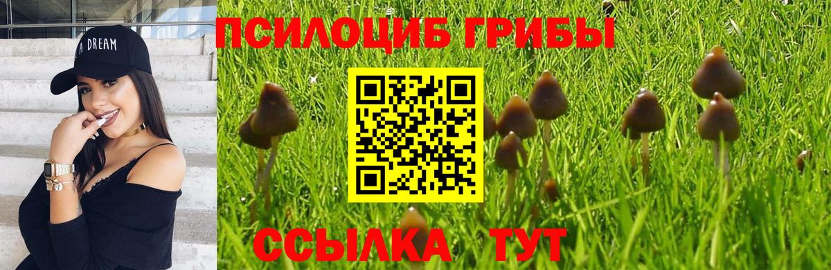Галлюциногенные грибы мухоморы Павловский Посад